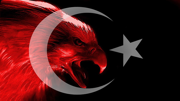 красный орел иллюстрация, турецкий, индейка, флаг, орел, HD обои