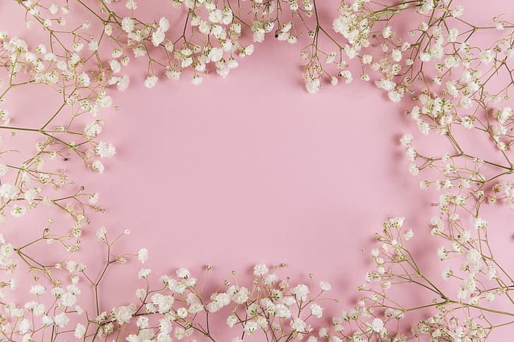 flowers, white, pink background, pink, background, tender, frame, floral, HD wallpaper