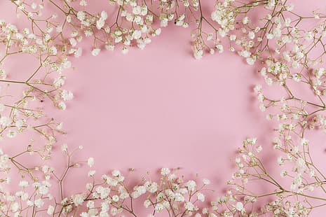 цветы, белые, розовый фон, розовый, фон, нежная, рамка, цветочные, HD обои HD wallpaper