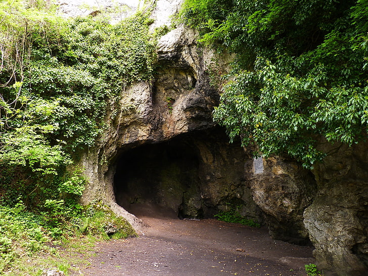 brun grotta och träd, berg, belgien, grotta, grotta, natur, HD tapet