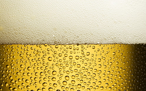 Tropfen, Bier, Frische, Gelb, Schaum, HD-Hintergrundbild HD wallpaper