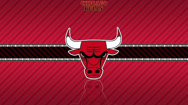 Basket HD, logo banteng chicago, olahraga, bola basket, Wallpaper HD