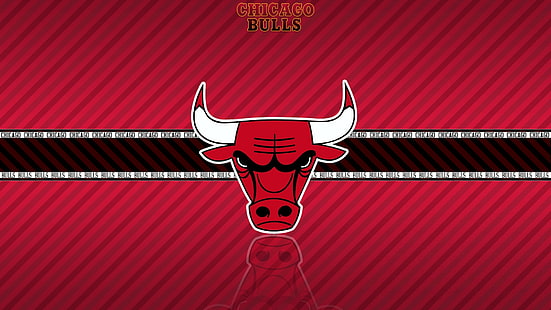 Koszykówka HD, logo byków chicago, sport, koszykówka, Tapety HD HD wallpaper