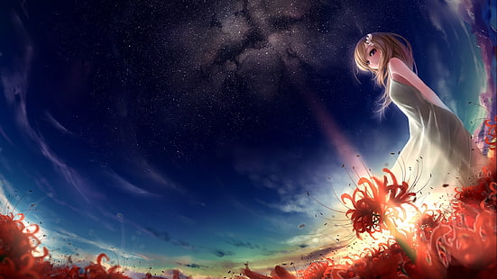 ilustração de menina anime de cabelos castanhos, obra de arte, arte de fantasia, meninas anime, campo, céu, luz solar, estrelas, loira, cabelos longos, sorrindo, nuvens, olhando para o espectador, personagens originais, HD papel de parede HD wallpaper
