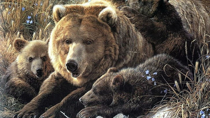 Mum Her Cubs, white bear, animals, cubs, grizzly bear, black bear, nature, wildlife, HD wallpaper