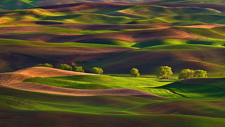 grünes Blatt, Landschaft, HD-Hintergrundbild