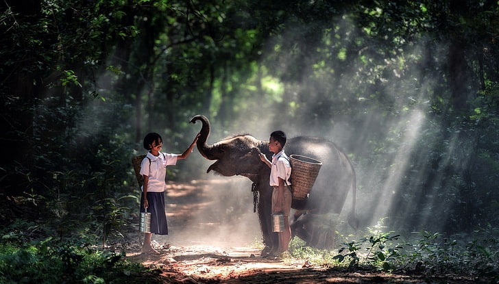 two girl and boy holding baby elephant on dirty pathway, Thailand, elephant, students, forest, lights, HD wallpaper
