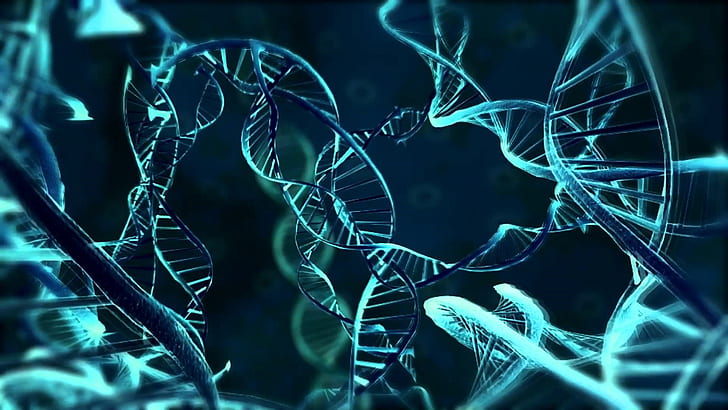 синий, организм, темный, днк, жизнь, генетика, молекула, белок, HD обои