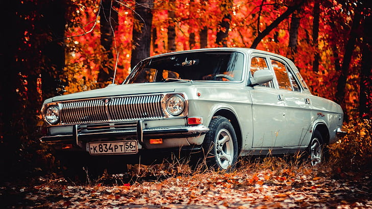 GAZ-24 Wolga, Wald, Herbst, Fahrzeug, Auto, Natur, Bäume, Jahrgang, russische Autos, Blätter, Wolga, HD-Hintergrundbild