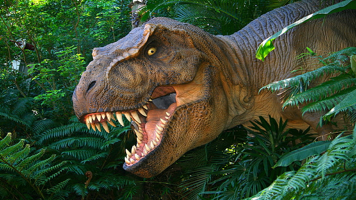 恐竜ティラノサウルスレックスは、過去の動物の世界を失ったHd壁紙、 HDデスクトップの壁紙