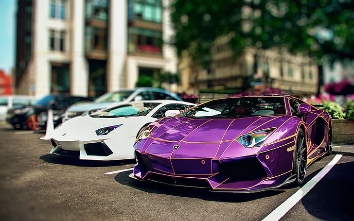 dua Lamborghini Aventadors putih dan ungu, Lamborghini Aventador, mobil, tempat parkir, Wallpaper HD