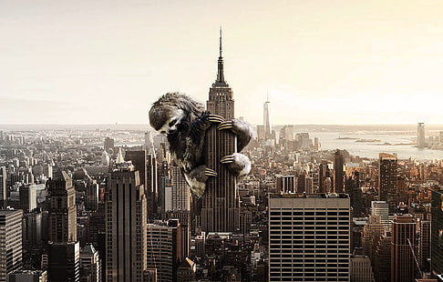 sloths, city, HD wallpaper HD wallpaper