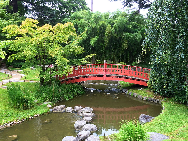 red footbridge, trees, bridge, pond, stones, France, Paris, garden, Japanese garden, Albert-Kahn, HD wallpaper
