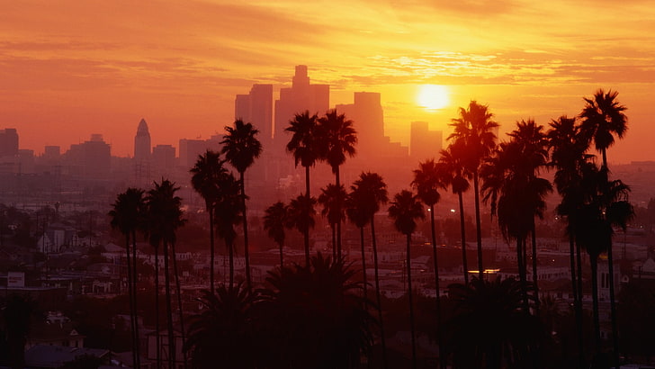 Los Angeles, pohon-pohon palem, matahari terbenam, Wallpaper HD