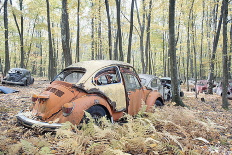 car, wreck, vehicle, HD wallpaper HD wallpaper