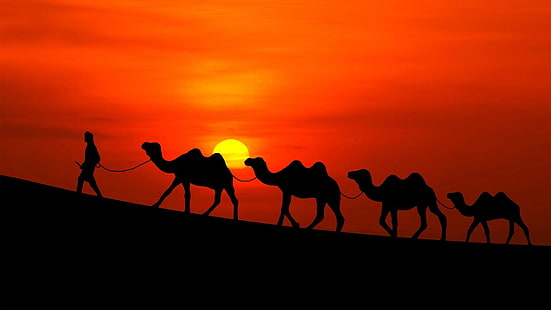 верблюд, силуэт, небо, пейзаж, пустыня, Сахара, закат, красное небо, красный закат, караван верблюдов, караван, HD обои HD wallpaper