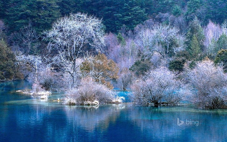 Красивые озера-ноябрь 2013 Bing обои, фиолетовые и зеленые лиственные деревья, HD обои