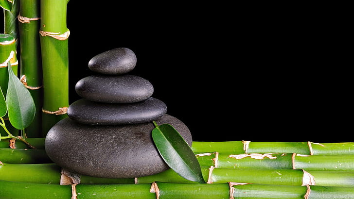 Bamboo N Rocks, staked, nature, bamboo, orintal, rocks, 3d and abstract, HD wallpaper