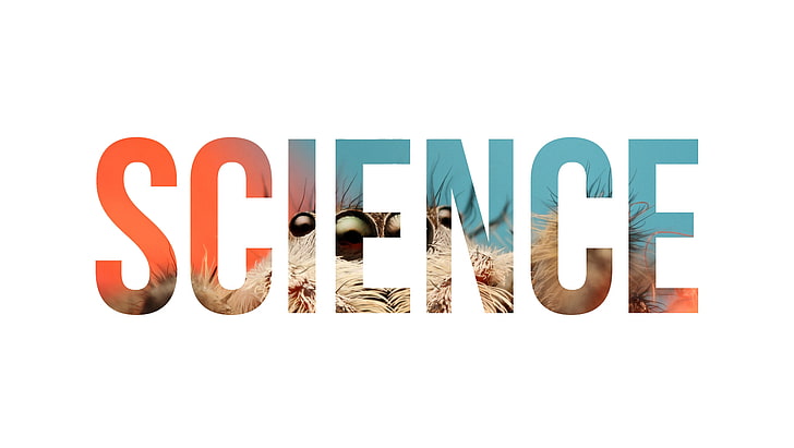 Wissenschaftstext, Wissenschaft, Spinne, Natur, Insekt, Typografie, HD-Hintergrundbild