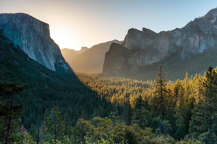 Yosemite National Park, träd, berg, skog, natur, solnedgång, Yosemite National Park, HD tapet