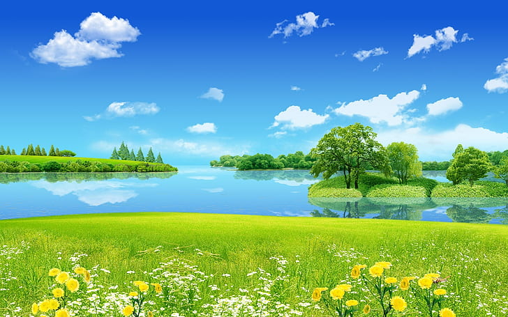 風景反射雲木湖HD、黄色の花びらの花、緑の草や木、自然、風景、木、雲、湖、反射、 HDデスクトップの壁紙
