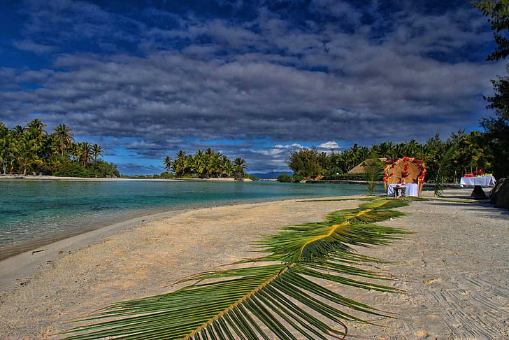 Пляж в Бора-Бора, пальмовые листья, остров, экзотика, тропик, острова, Таити, пляж, полинезия, океан, песок, лист, бора-бора, роскошь, рай, HD обои