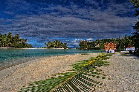 Praia em Bora Bora, folhas de palmeira, ilha, exótica, tropical, ilhas, taiti, praia, polinésia, oceano, areia, folha, luxo, paraíso, HD papel de parede HD wallpaper