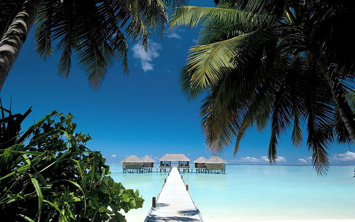 natura, paesaggio, spiaggia, passerella, palme, mare, acqua, cabina, tropicale, estate, blu, cielo, Maldive, Sfondo HD