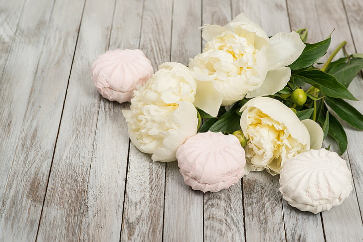 white peony flowers, white, buds, wood, flowers, romantic, peonies, marshmallows, valentine`s day, HD wallpaper