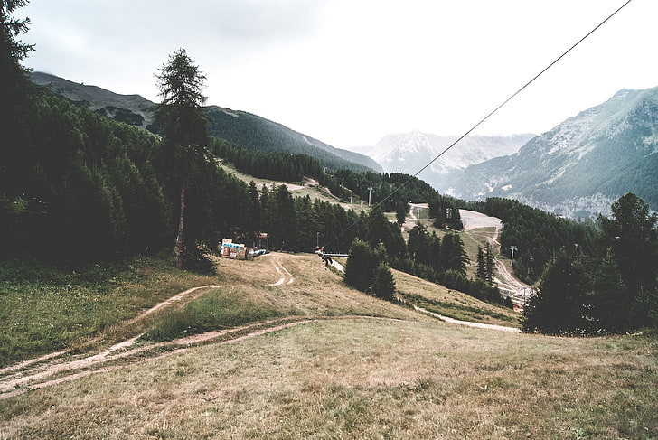 grüne Kiefern, südliche Alpen, Berge, Bäume, Gebäude, HD-Hintergrundbild