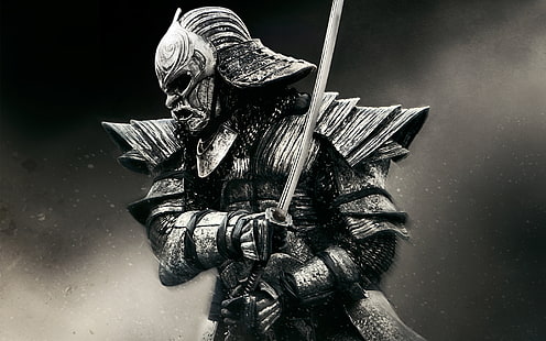 Warrior in 47 Ronin, warrior, ronin, HD wallpaper HD wallpaper