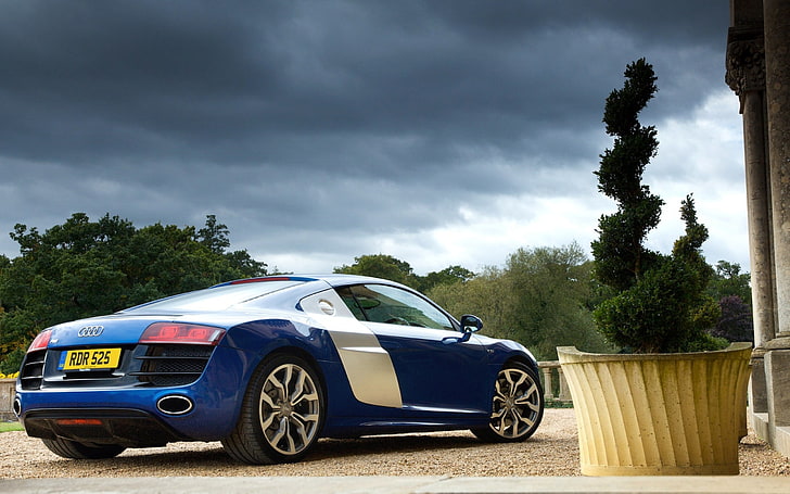 синьо Audi R8, кола, Audi, Audi R8, сини автомобили, превозно средство, растения, HD тапет