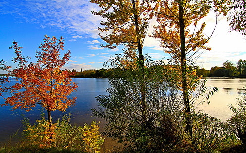 Rusia, Yaroslavl, río, árboles, cielo, nubes, otoño, árbol verde, Rusia, Yaroslavl, río, árboles, cielo, nubes, otoño, Fondo de pantalla HD HD wallpaper