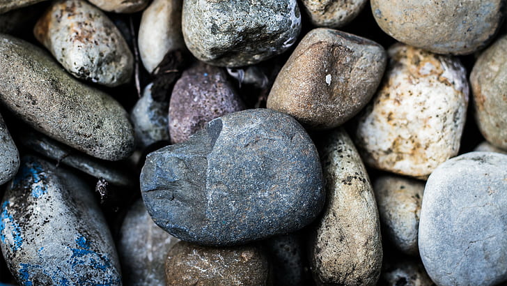 сива гладка скала, снимка отблизо на сиви и бели камъни, камъни, макро, HD тапет