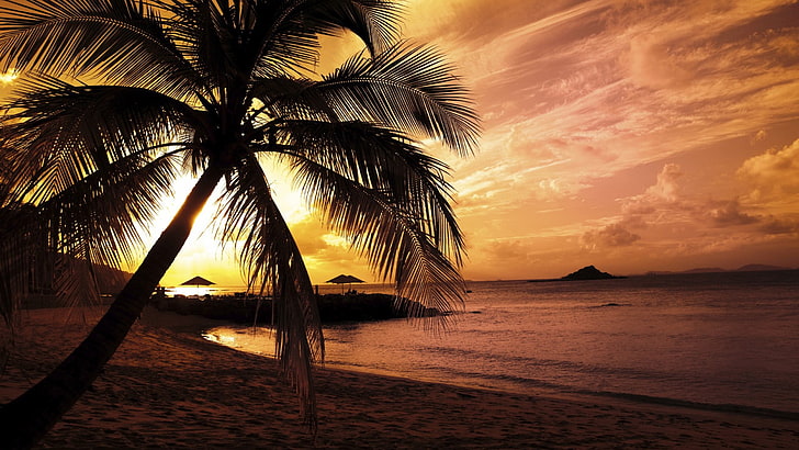 decoración de mesa de madera marrón y negra, paisaje, luz solar, playa, palmeras, Fondo de pantalla HD
