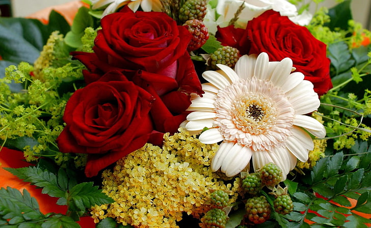 Tres rosas rojas y margaritas blancas, gerberas, rosas, flores, canción,  Fondo de pantalla HD | Wallpaperbetter