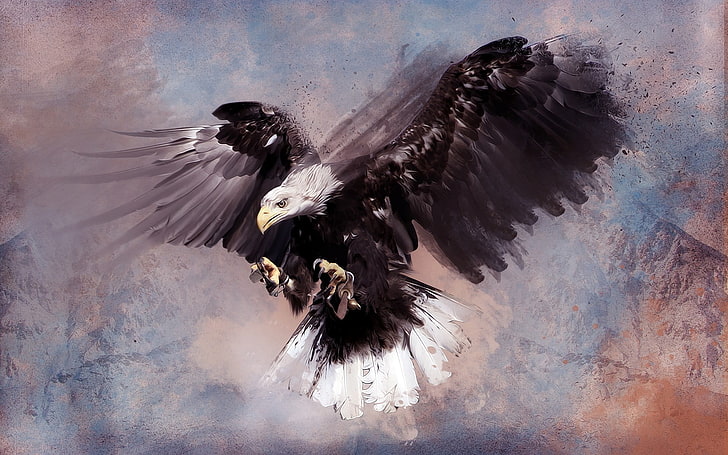 botak elang lukisan warna-warni, elang, karya seni, Wallpaper HD