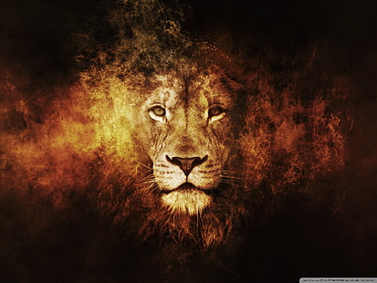 singa wallpaper digital, singa, hewan, tekstur, seni digital, kucing besar, karya seni, Wallpaper HD HD wallpaper