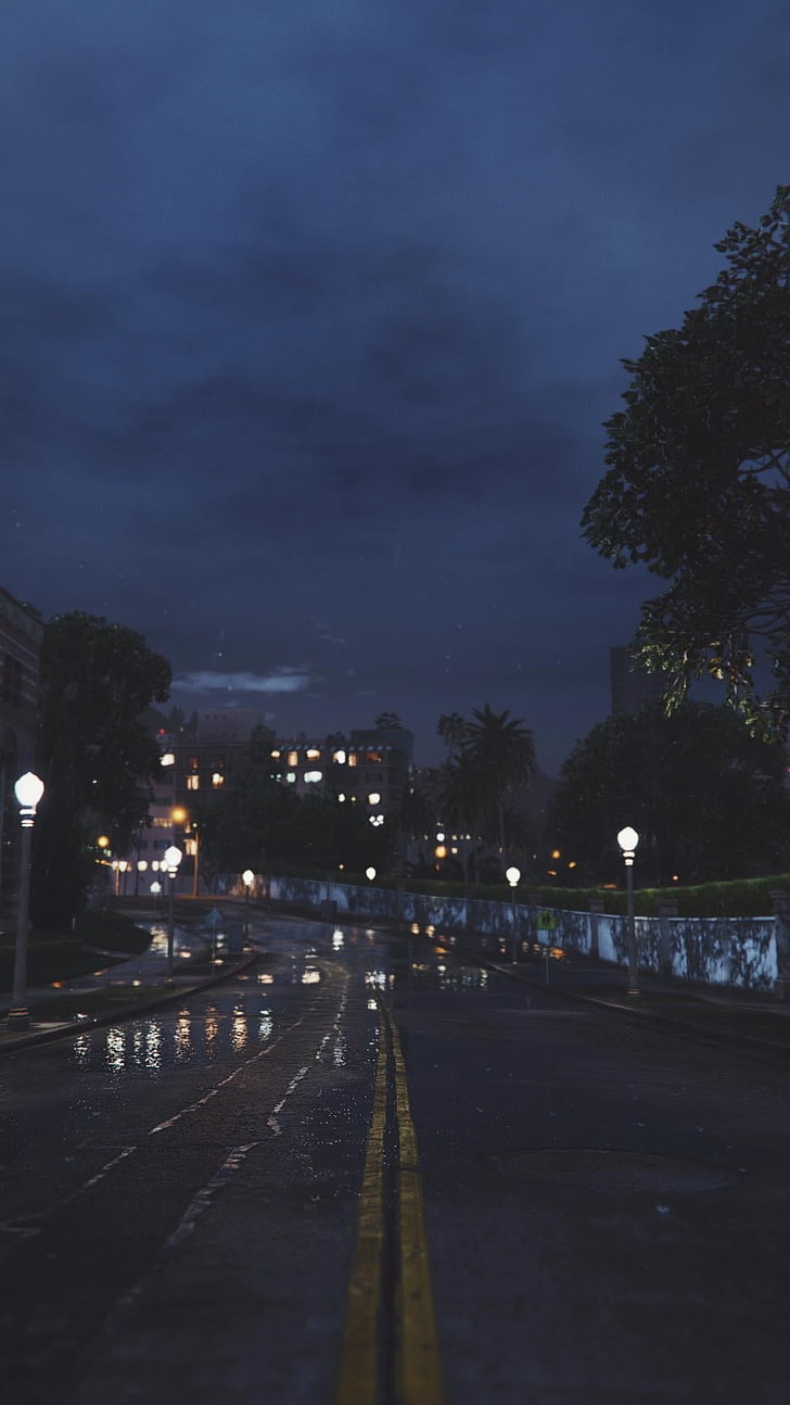 árbol de hojas verdes, lluvia, carretera, noche, cielo nocturno, luces, ciudad, Grand Theft Auto V, Fondo de pantalla HD, fondo de pantalla de teléfono