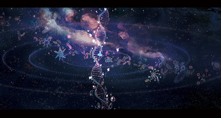 Structure de l'ADN, art numérique, oeuvre d'art, résumé, Fond d'écran HD