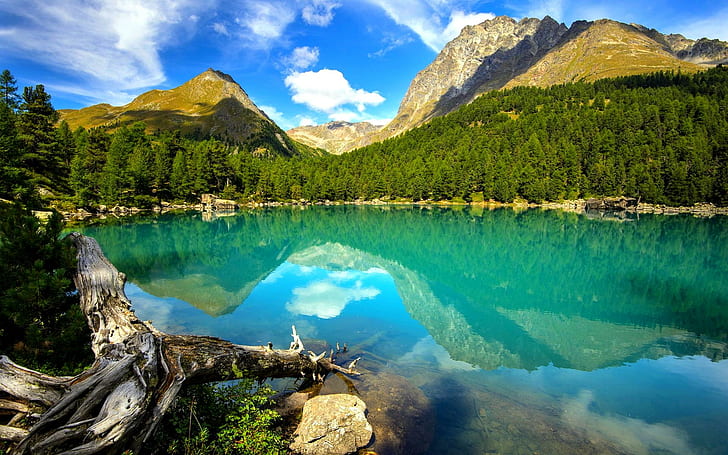 Тихое озеро, горы, ландшафт, лес, озеро, природа и пейзажи, HD обои