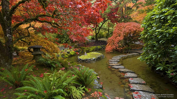 Butchart Gardens jesienią, Kolumbia Brytyjska, Kwiaty / Ogrody, Tapety HD