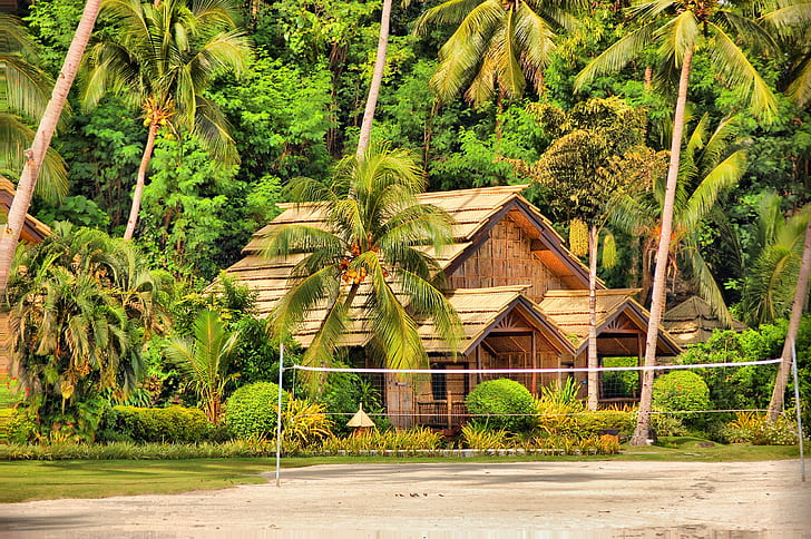 Samal, Filipiny, bungalow, brązowo-beżowy dom w pobliżu zielonych kokosowych lasów, dom, bungalow, palmy, wyspa, chata, Filipiny, Samal, Tapety HD