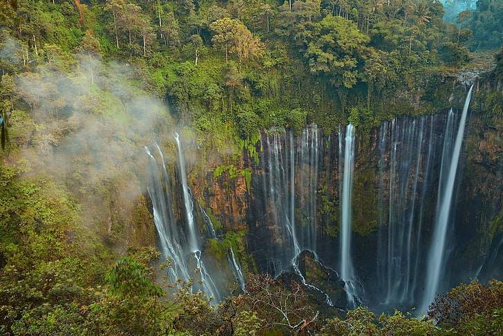 skog, grön, vattenfall, träd, landskap, natur, Java, djungel, Indonesien, HD tapet