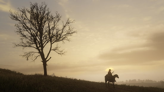 Red Dead Redemption, Red Dead Redemption 2, Video Game Art, video games, cowboys, horse, HD wallpaper HD wallpaper