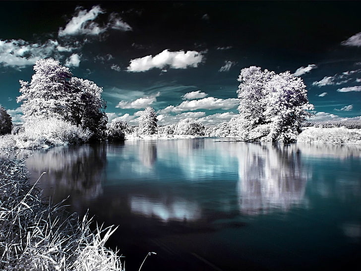 badan air, musim dingin, Wallpaper HD