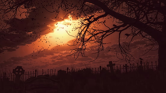 silhouette di albero nudo, notte, fan art, cimitero, tramonto, fantasy art, opere d'arte, terrore, buio, nuvole, raggi del sole, Sfondo HD HD wallpaper