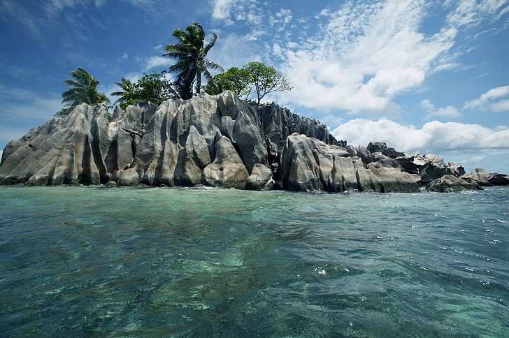 isola con alberi di cocco, natura, oceano, soggiorno, relax, Seychelles, esotiche, isole Seychelles, Sfondo HD