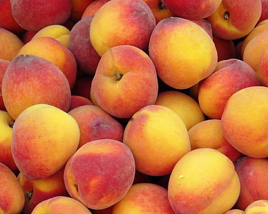 peach fruit lot, fruit, peaches, HD wallpaper HD wallpaper