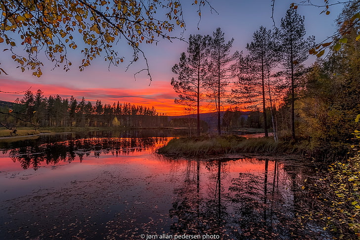 autumn, leaves, trees, sunset, branches, Norway, river, Jorn Allan Pedersen, HD wallpaper